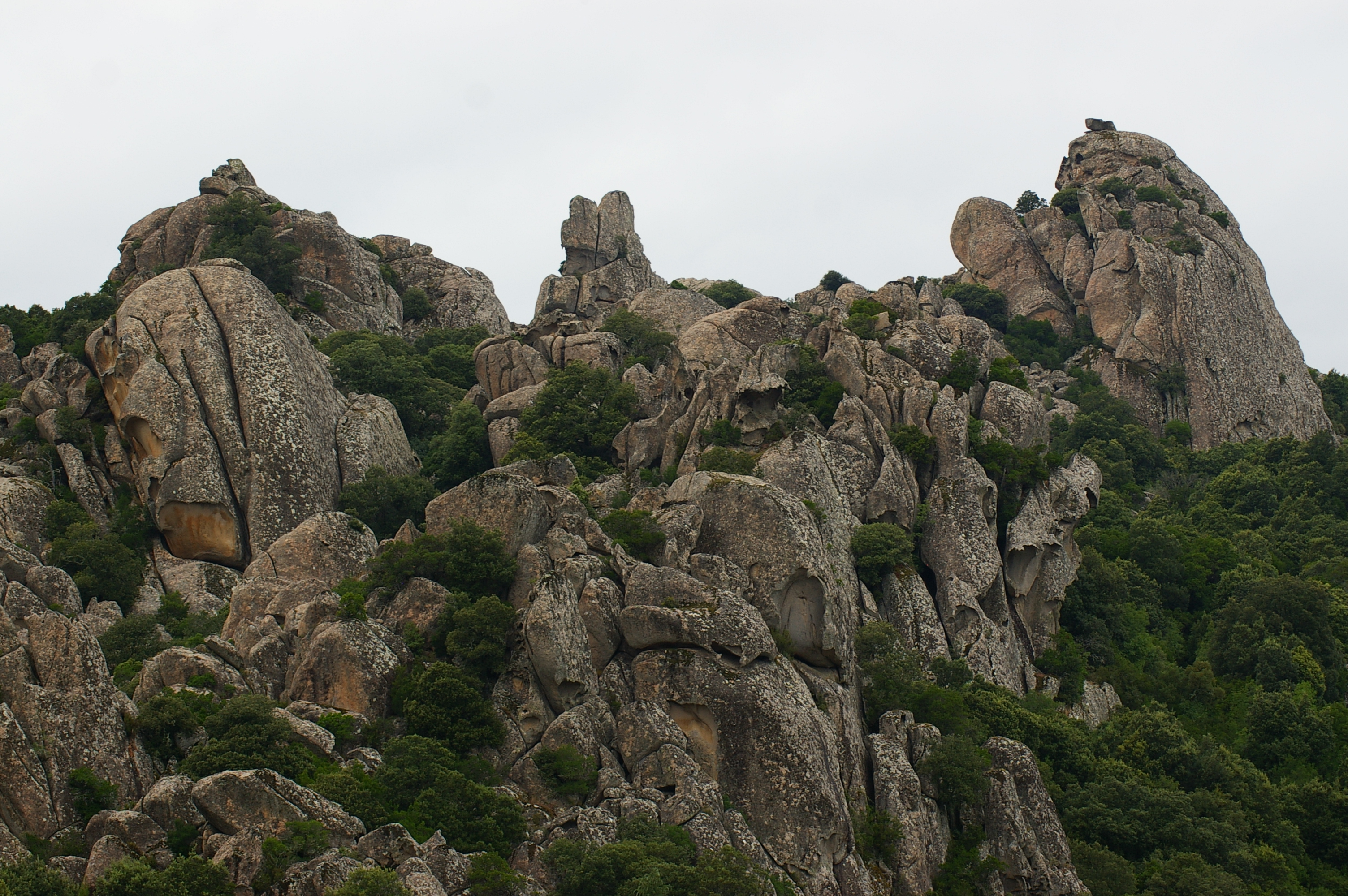 Rocce dell'Asinara di @Virginia_Billè