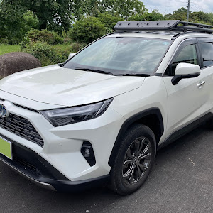 RAV4 AXAH54