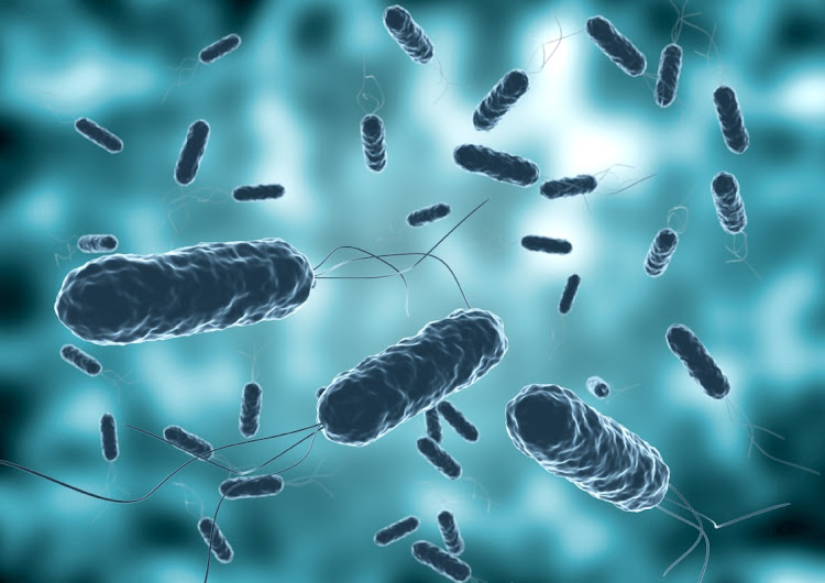 A 3D rendering of a colony of Vibrio cholerae seen by electron microscope. Stock photo.