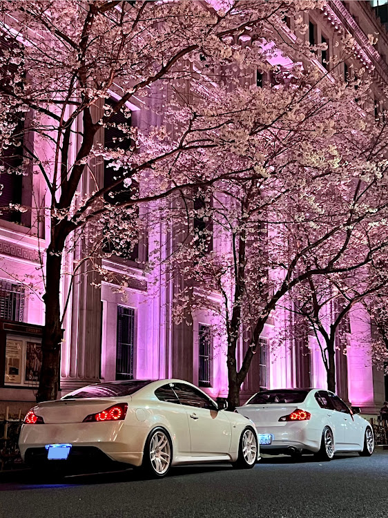 スカイラインの4月もよろしくお願い致します🌸・サクラと愛車・桜とコラボ・親子でV36・スカイラインV36に関するカスタム事例の投稿画像2枚目