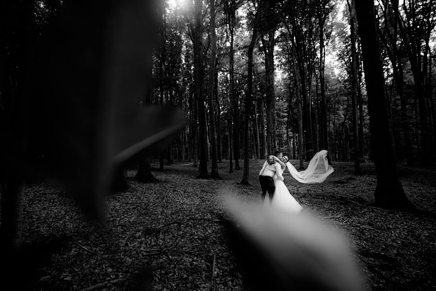 Fotógrafo de casamento Magdalena Korzeń (korze). Foto de 24 de outubro 2016