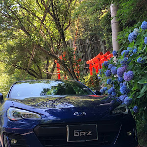 BRZ ZC6