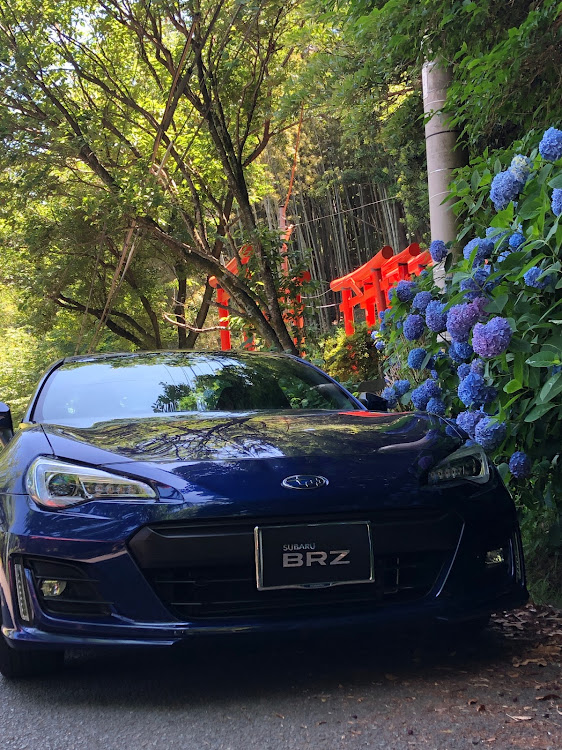 BRZのあじさいコラボ・岡垣　成田山・今日は雨・昨日の続き・ラピスブルーに関するカスタム事例の投稿画像1枚目