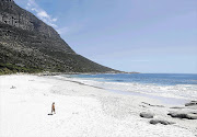 South African naturists are determined that a proposed nude beach in KwaZulu-Natal gets off the ground.