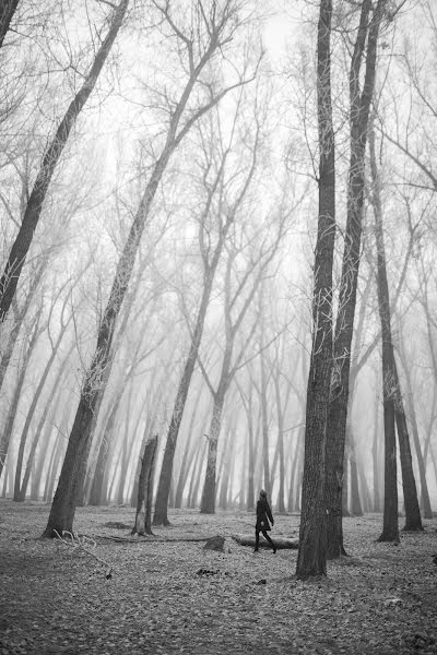 Vestuvių fotografas Aleksey Snitovec (snitovec). Nuotrauka 2023 balandžio 24