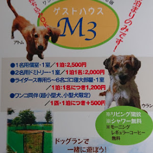 M3 クーペ M3B