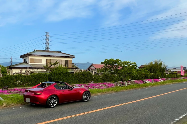 ロードスターRFのいつもいいね＆コメントありがとうございます🥰・オープン出勤継続中・芝桜コラボ・富士山に関するカスタム事例の投稿画像8枚目