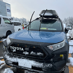 RAV4 MXAA54