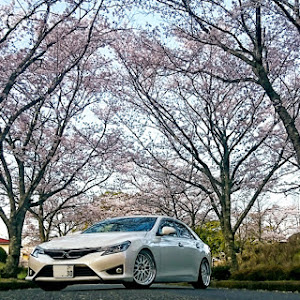 マークX GRX130系