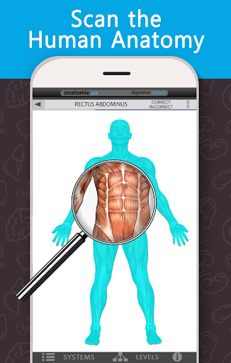 Screenshot Anatomy Game Anatomicus Pro