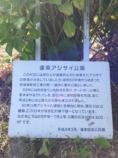 逢束アジサイ公園