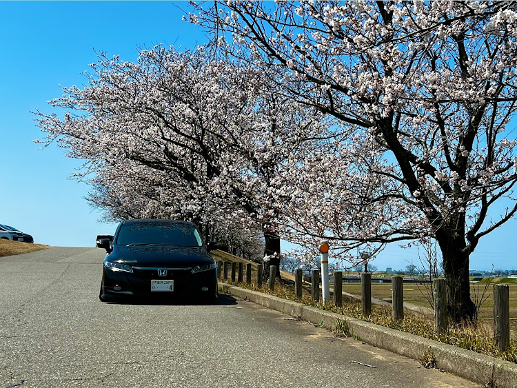 の投稿画像3枚目