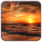 Item logo image for Sunset Beach