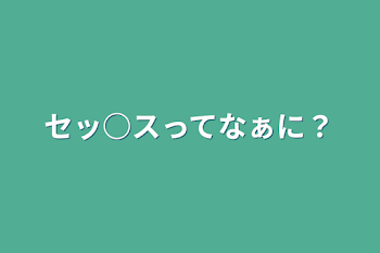 セッ○スってなぁに？