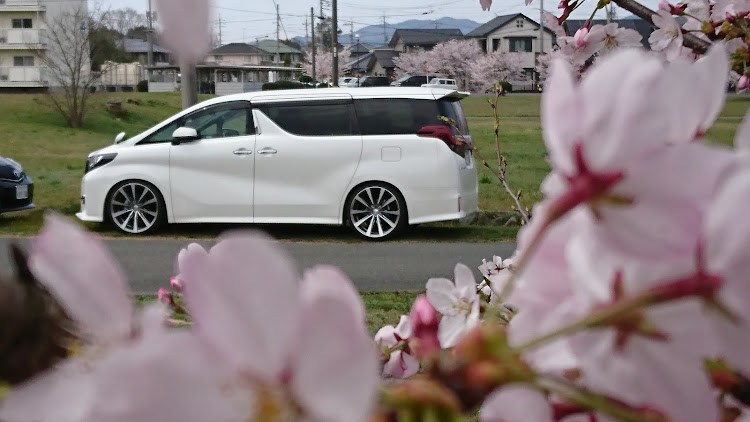 アルファードの思い出にふける・納車はまだ先笑・ROJAMも悪くないなぁに関するカスタム事例の投稿画像4枚目