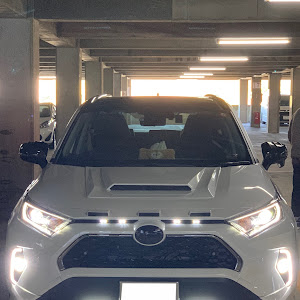 RAV4 AXAH54