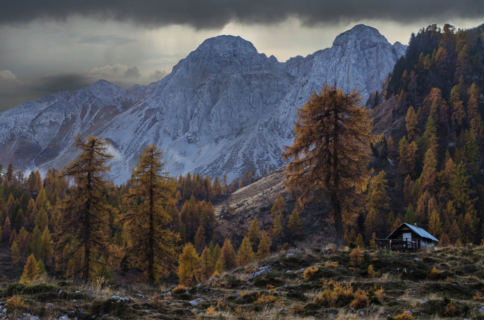 la capanna dei larici di Moreno re