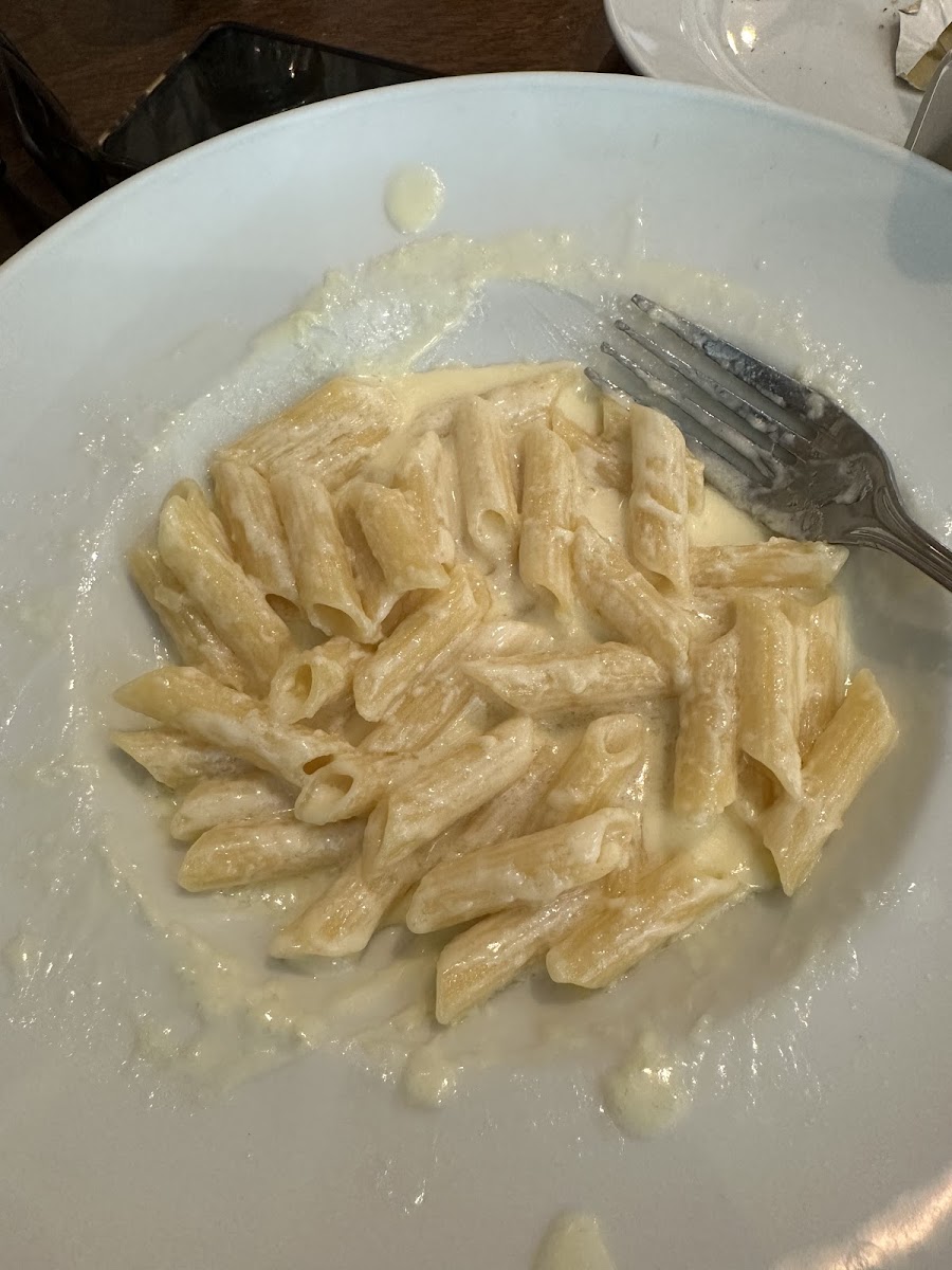 Penne pasta with alfredo sauce, very good