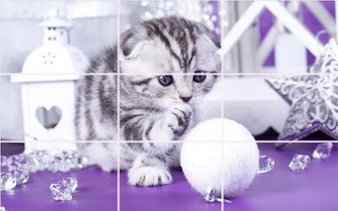 Puzzle – kittens 10