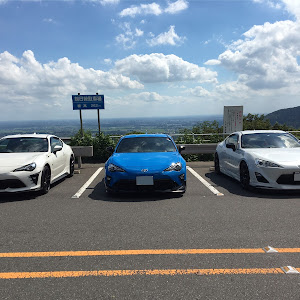 86 ZN6