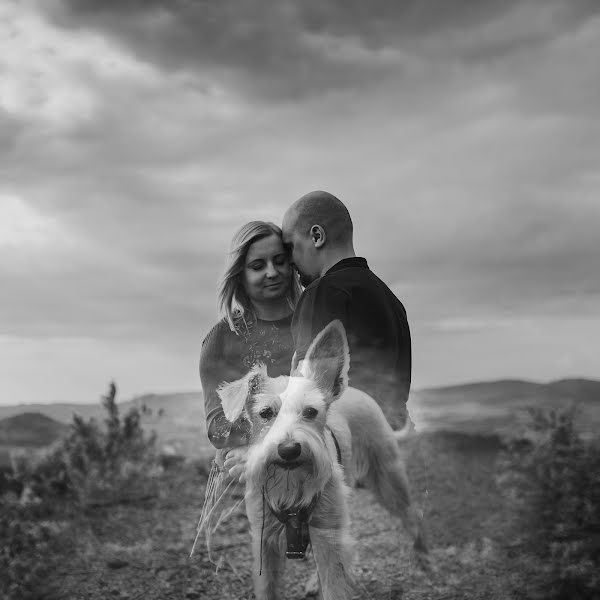 Wedding photographer Michał Gałczyński (galczynskifoto). Photo of 20 May 2019