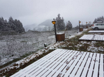 最強寒流再發威 拉拉山持續下雪積雪達10公分