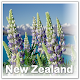 Download Visit New Zealand For PC Windows and Mac 1.0