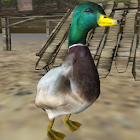 Real Duck Simulator 1.5