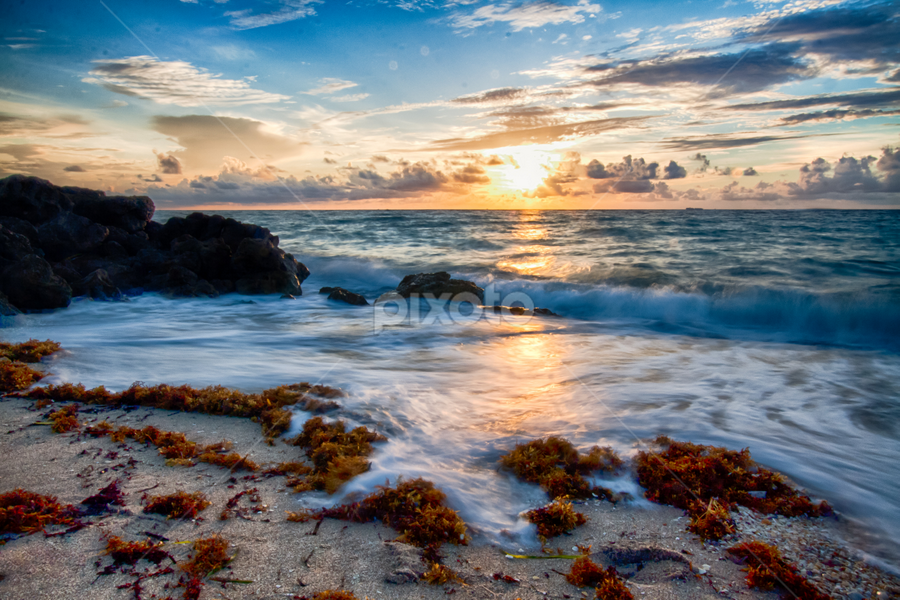 Florida Nude Beach Cam - Good morning! | Beaches | Landscapes | Pixoto