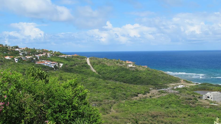 Vente terrain  76080.9 m² à Saint-Martin (97150), 5 500 000 €