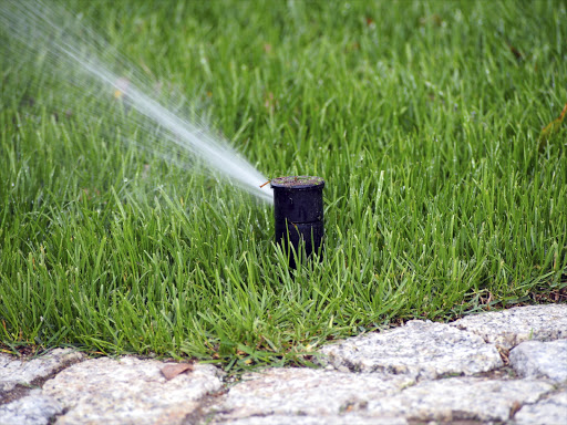 An easy way to save water is to add a rain sensor to your irrigation system that'll turn it off if it has rained.