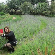 莫內的花園