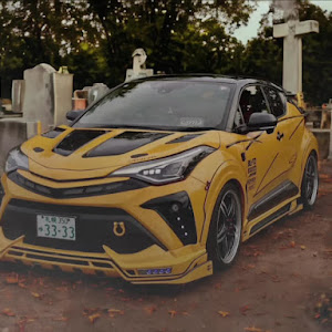 C-HR NGX10