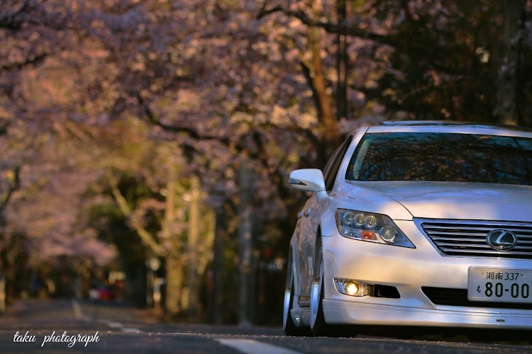 LSのサクラと愛車・コロナウイルスに負けるなに関するカスタム事例の投稿画像3枚目