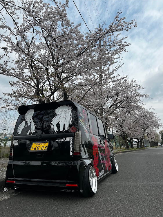 Nボックスカスタムの桜と愛車・桜コラボ・縁石ヒット・プリウスロケット・DIYに関するカスタム事例の投稿画像2枚目