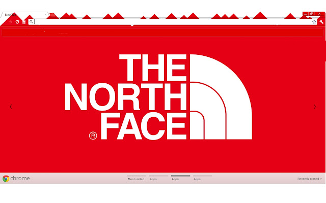 The North Face chrome extension