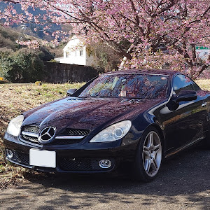 SLK R171