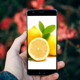 Fresh Lemon Fruits Wallpaper(圖3)-速報App