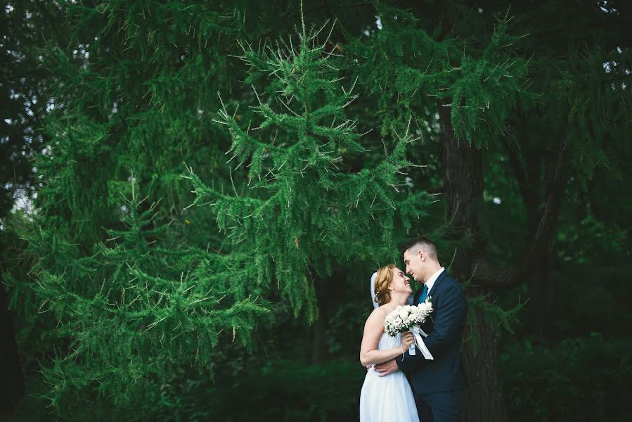 Wedding photographer Yuliya Nastenkova (impi). Photo of 12 October 2015