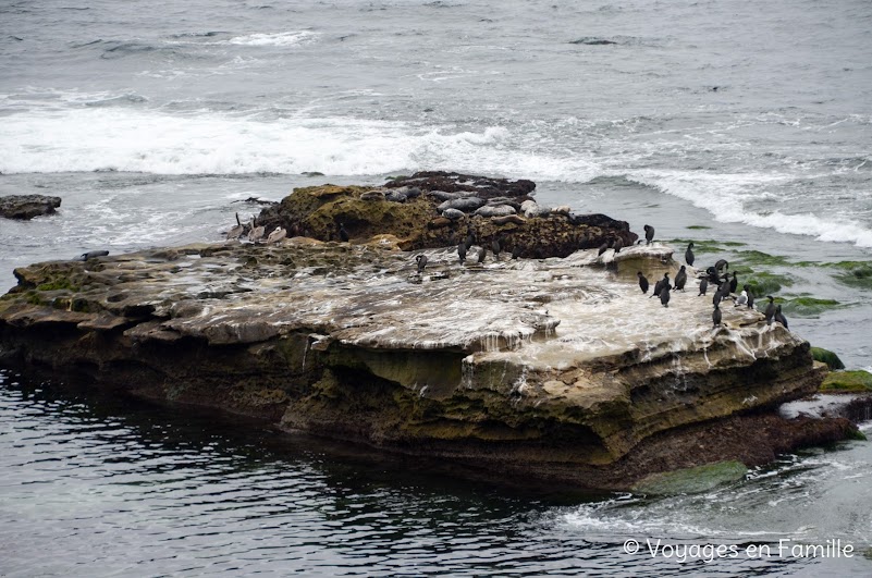 La Jolla Seal Rock