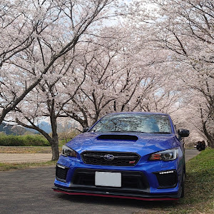 WRX STI VAB