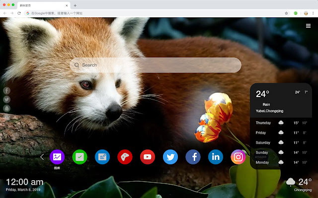 Little Panda Hot Animals HD New Tabs Theme