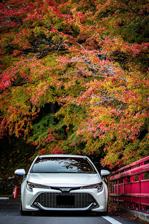 カローラスポーツのいつもイイネ&コメントありがとうございます🙇‍♂️・写活📸の秋・紅葉を求めて徘徊🍁・寒いので体調に気を付けてくださいに関するカスタム事例の投稿画像8枚目