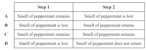 Qualitative Analysis