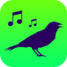 Sounds of birds icon