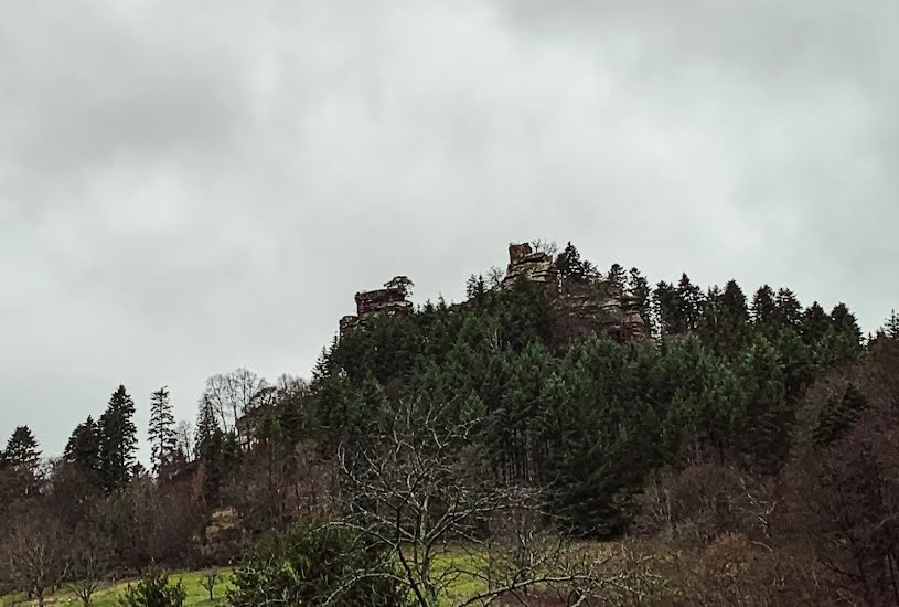  Vente Terrain à bâtir - à Windstein (67110) 