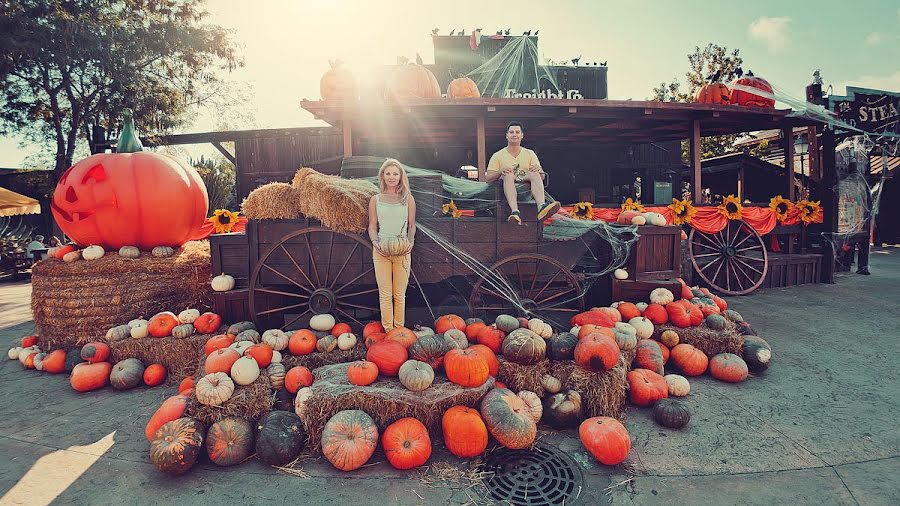 Hochzeitsfotograf Mariya Averina (avemaria). Foto vom 1. November 2013