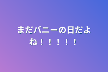 「まだバニーの日だよね！！！！！」のメインビジュアル