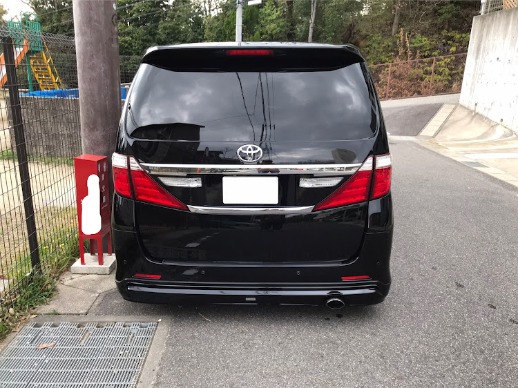 アルファードのDIY・洗車・オイル交換・リヤ下げたフリ・久々の塗装は楽しいに関するカスタム事例の投稿画像2枚目