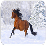 Cover Image of Descargar Horse sounds 444 APK